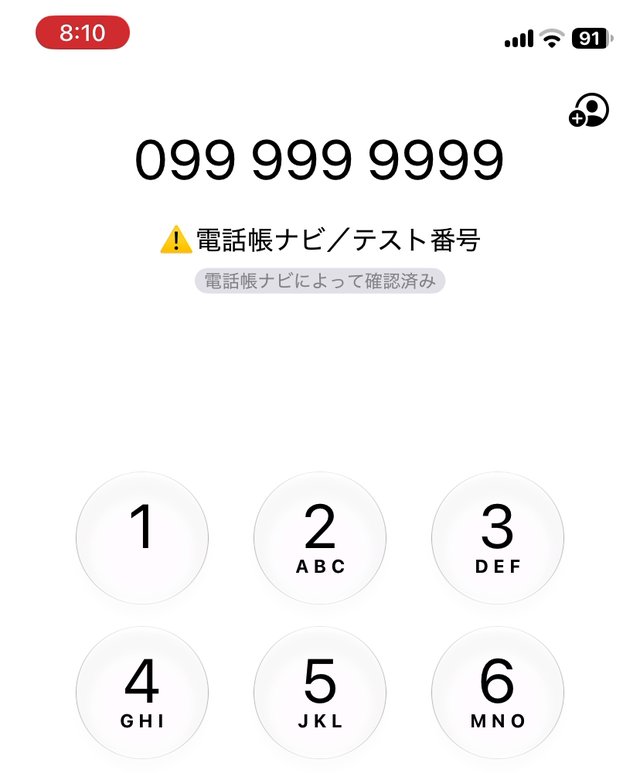 キーパッドで099 999 9999と入力し、電話帳ナビ／テスト番号と表示されている